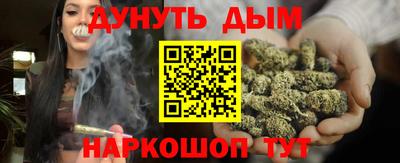 индика Боровичи