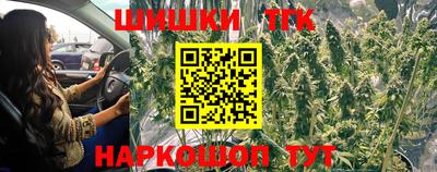 индика Боровичи