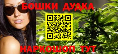 индика Боровичи