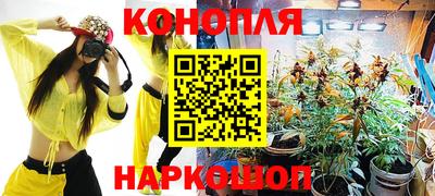 прущие грибы Братск